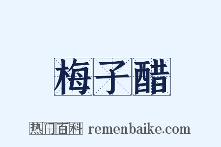 梅子醋是什么意思的图片